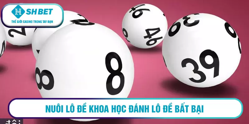 Bí kíp đánh lô đề bất bại từ các cao thủ 2 Nuôi lô đề khoa học đánh lô đề bất bại