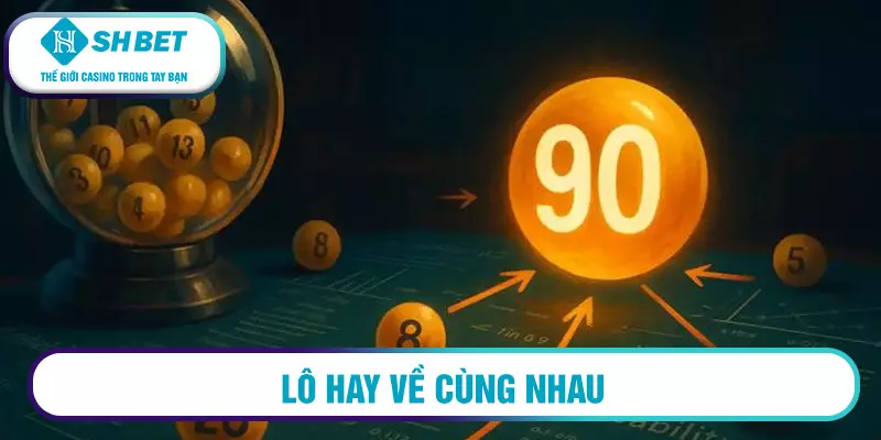 Lô hay về cùng nhau