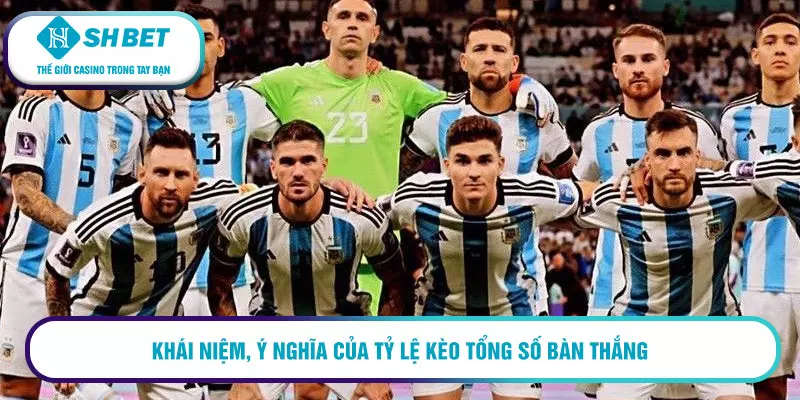 Cách phân tích kèo tổng số bàn thắng có 1 0 2 từ cao thủ 1 Khái niệm, ý nghĩa của tỷ lệ kèo tổng số bàn thắng